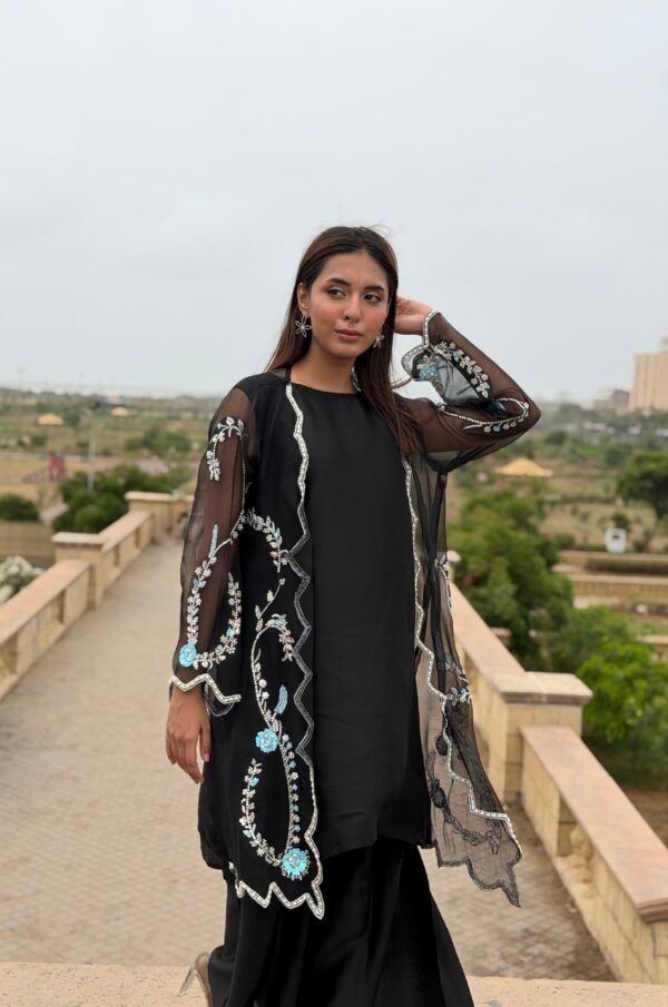1786357323652 Seesha silk