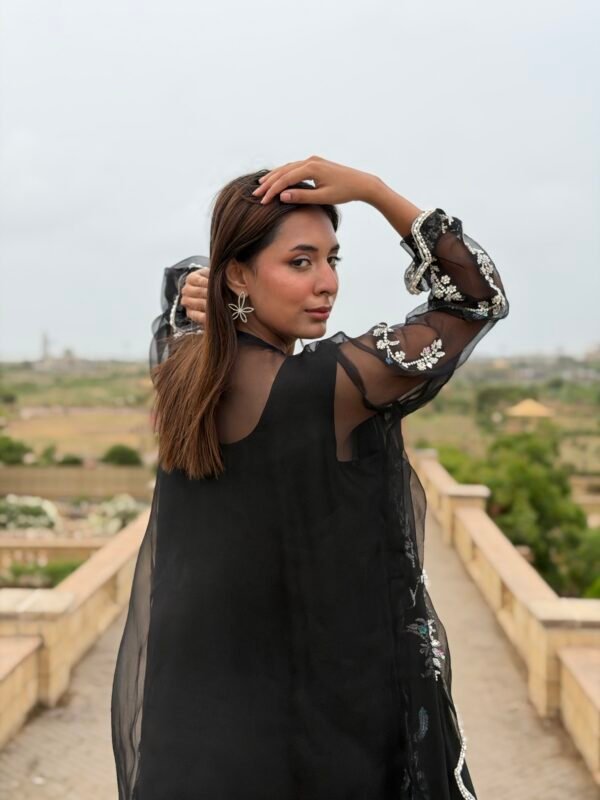 1786357323699 Seesha silk