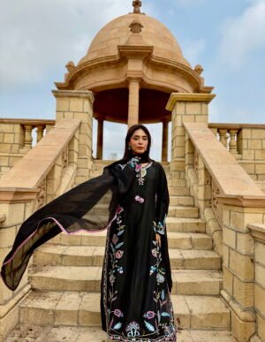 IMG_3399 (1) Seesha Silk-2 with cut Dana work