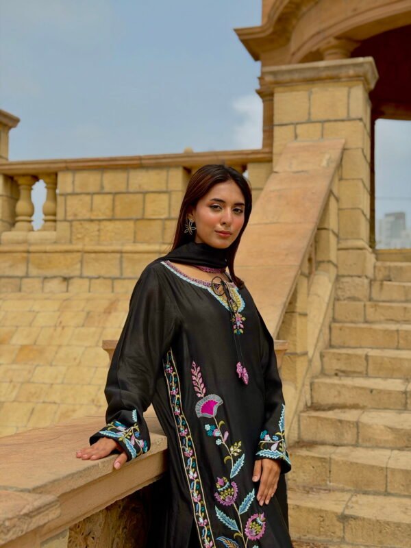 IMG_3427 (1) Seesha Silk-2 with cut Dana work